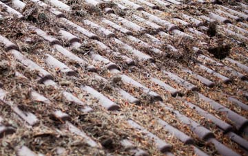 Norton In Hales roof cleaning companies